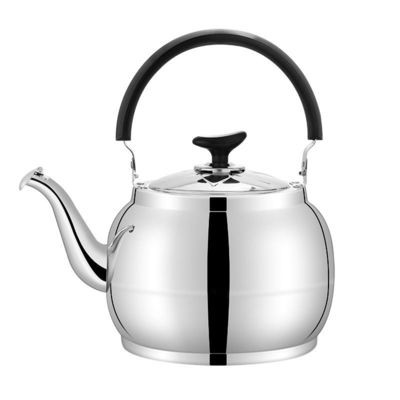 Stainless Steel Water Kettle